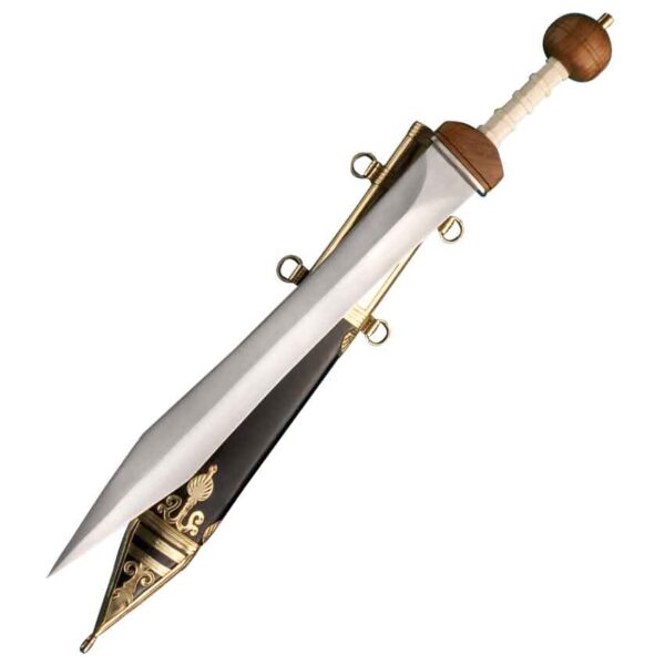 Maintz Pattern Gladius