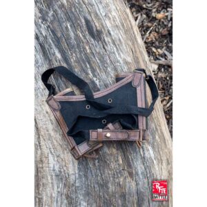 Ready For Battle Double Sword Harness