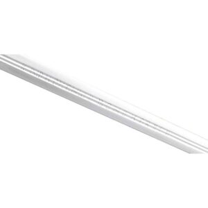 River Witham Sword