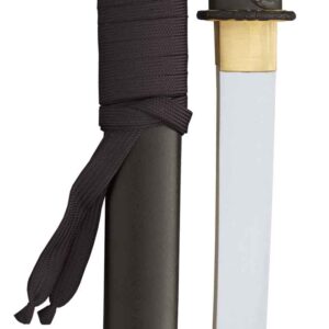 Raptor Tanto
