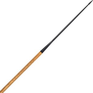 Roman Thin Pilum