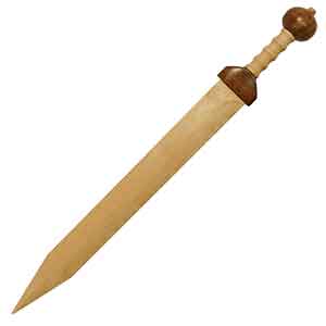 Training Weapons