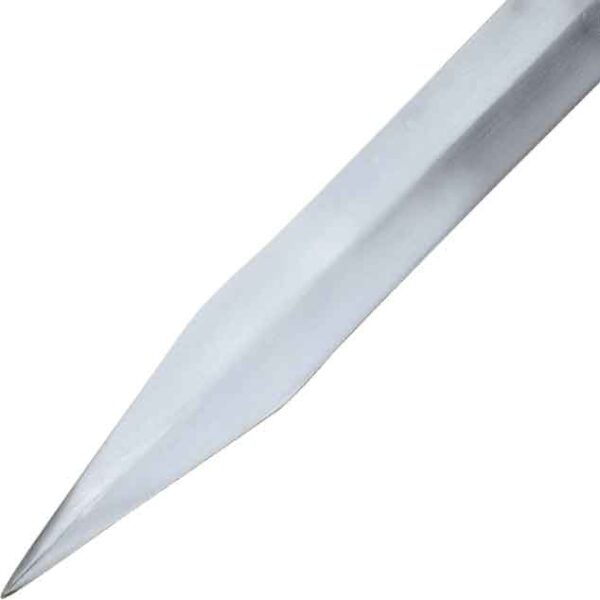 Legionary Mainz Gladius