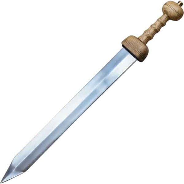Pompeii Gladius with Scabbard