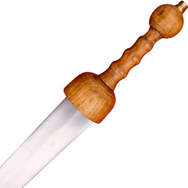 Thin Bladed Gladius