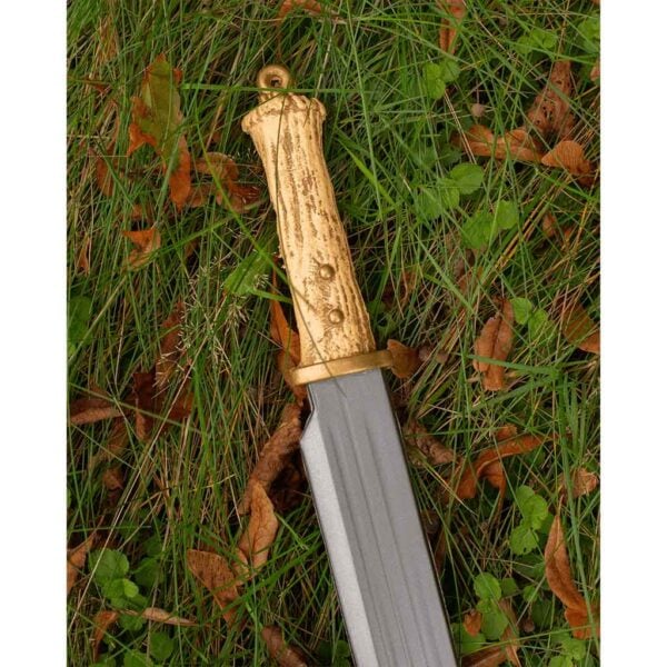 Nadertal Short LARP Seax